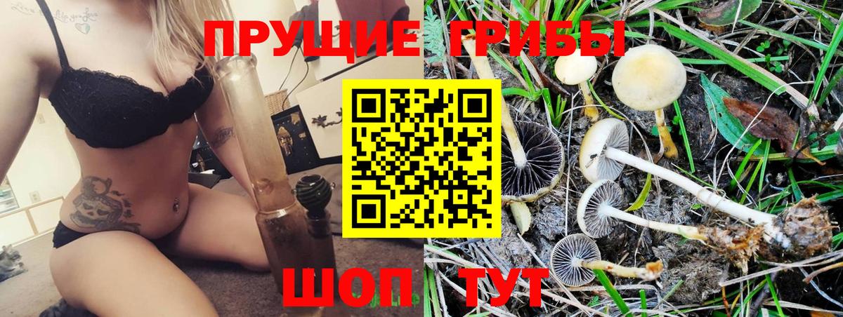 Псилоцибиновые грибы мухоморы Ялуторовск